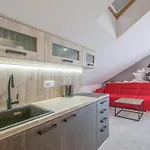 21 3* Ruzova
